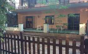 Villa Nene'